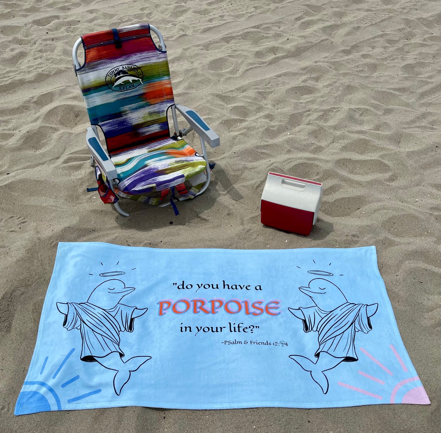 Porpoise Beach Towel